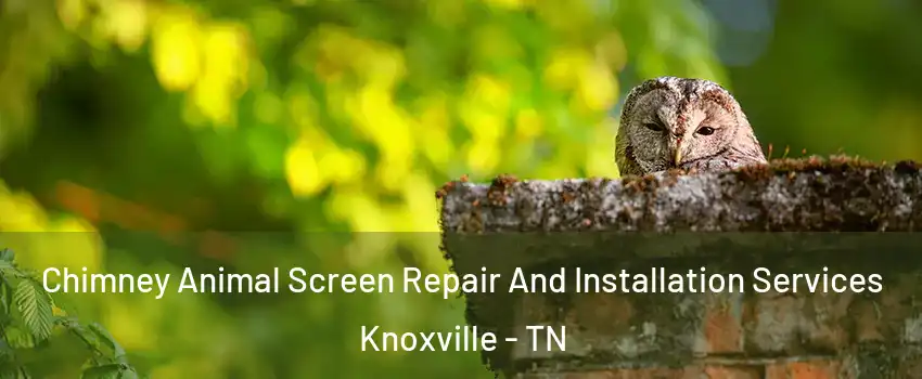  Chimney Animal Screen Repair And Installation Services Knoxville - TN