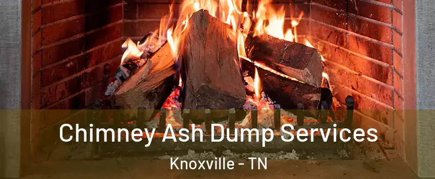  Chimney Ash Dump Services Knoxville - TN