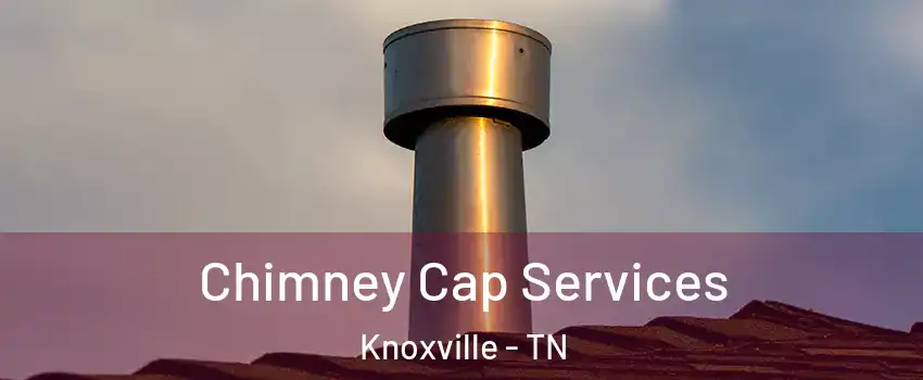  Chimney Cap Services Knoxville - TN
