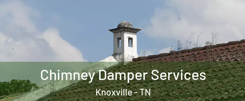  Chimney Damper Services Knoxville - TN