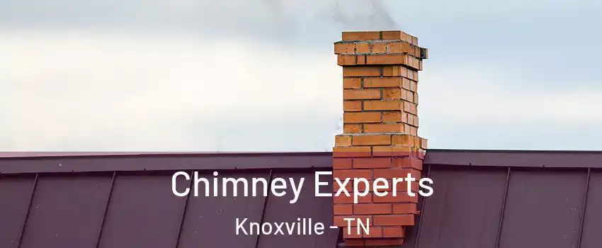  Chimney Experts Knoxville - TN