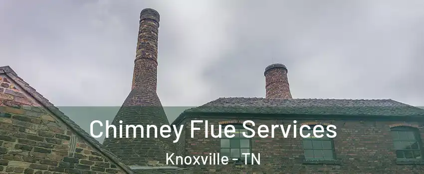  Chimney Flue Services Knoxville - TN