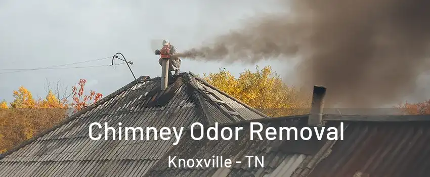  Chimney Odor Removal Knoxville - TN