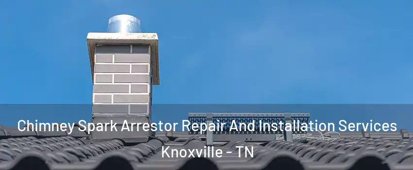  Chimney Spark Arrestor Repair And Installation Services Knoxville - TN