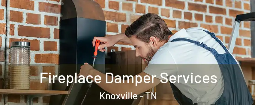  Fireplace Damper Services Knoxville - TN