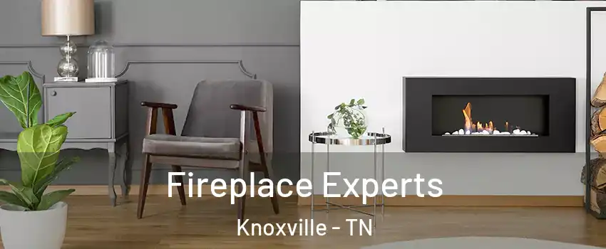  Fireplace Experts Knoxville - TN