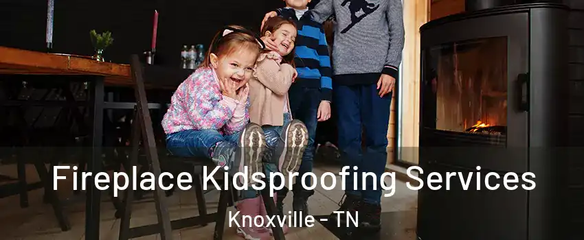  Fireplace Kidsproofing Services Knoxville - TN