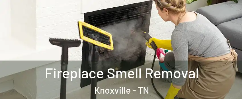  Fireplace Smell Removal Knoxville - TN