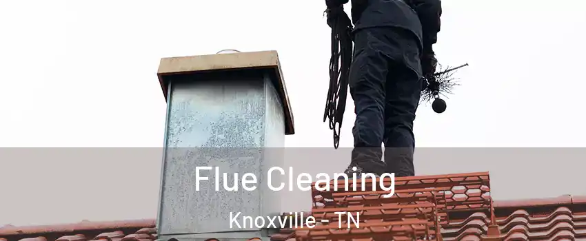  Flue Cleaning Knoxville - TN