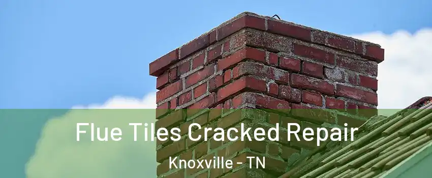  Flue Tiles Cracked Repair Knoxville - TN