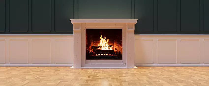 Napoleon Electric Fireplaces Inspection Service in Knoxville, Tennessee