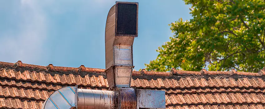 Chimney Blockage Removal in Knoxville, Tennessee