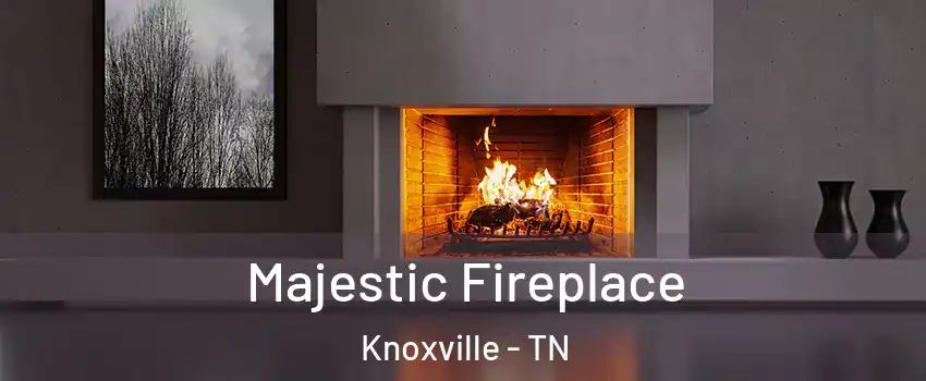  Majestic Fireplace Knoxville - TN