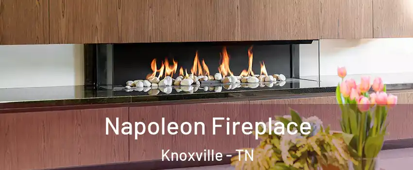  Napoleon Fireplace Knoxville - TN