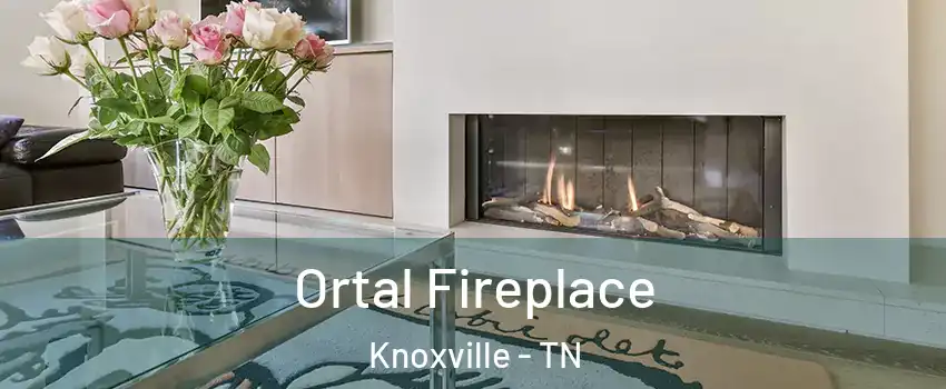  Ortal Fireplace Knoxville - TN